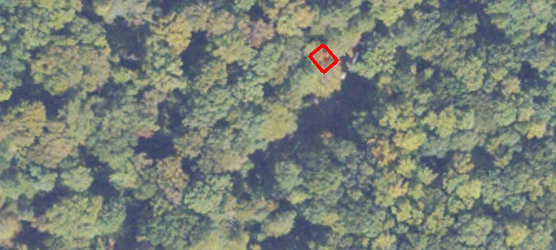 Ruther Glen, VA 22546