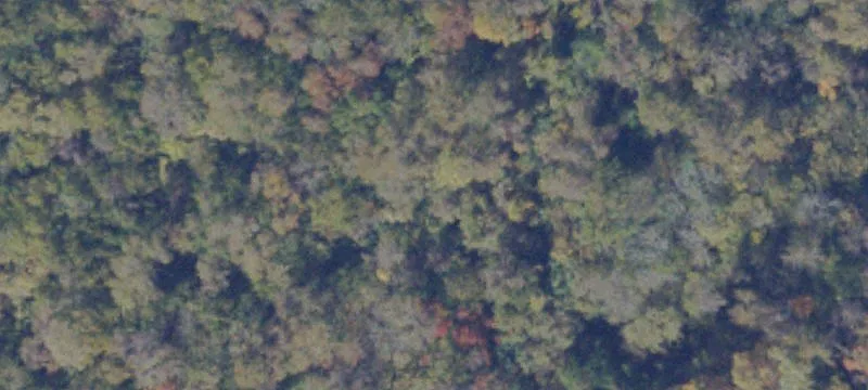 Saltville, VA 24370