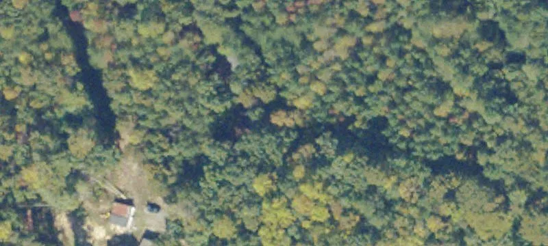 Ruther Glen, VA 22546
