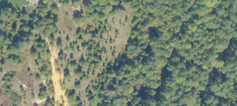 Ruther Glen, VA 22546