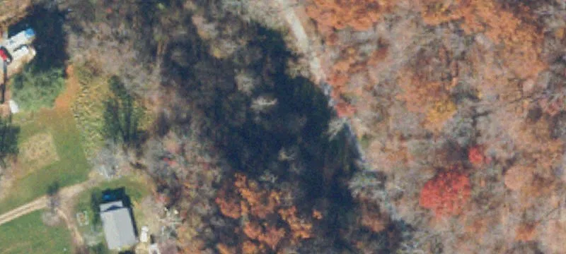 Saint Charles, VA 24282