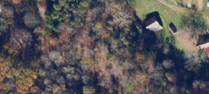 409 Grazing Acres Dr