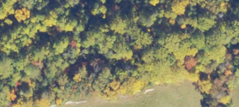 Rixeyville Rd
