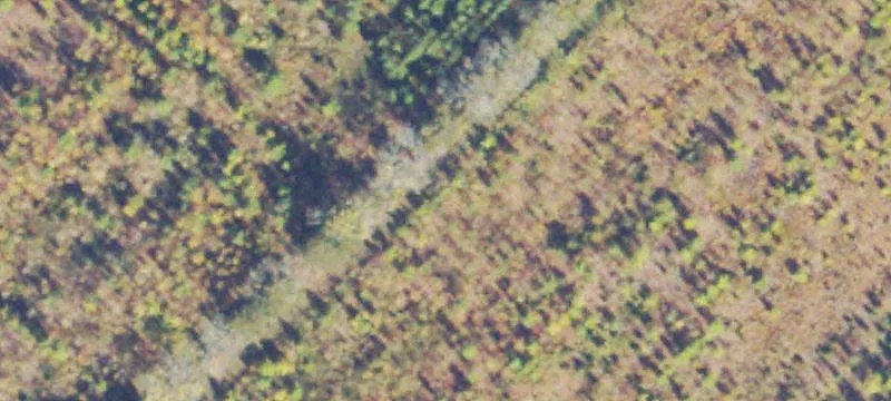 Midland, VA 22728