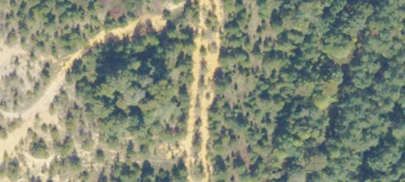 Ruther Glen, VA 22546