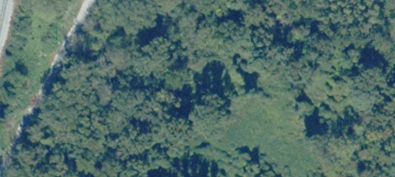 Virginia Beach, VA 23455