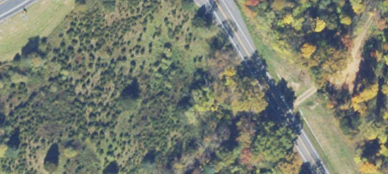 Mt Olive Rd