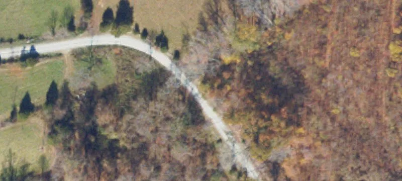 913 Dryden Loop