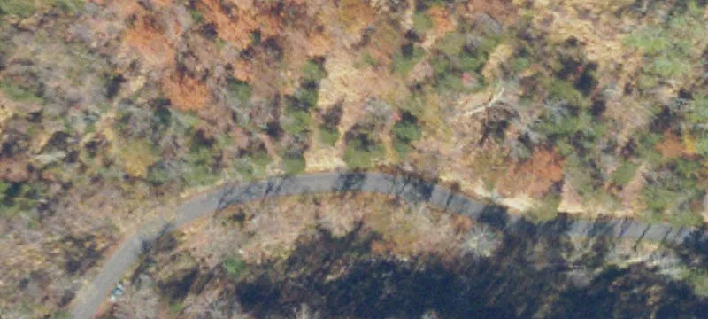 267 Speaks Br Rd