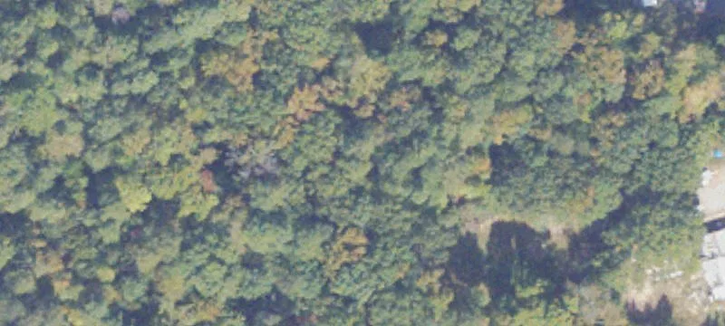 Ruther Glen, VA 22546