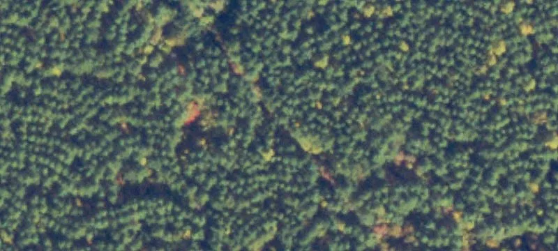 Mineral, VA 23117