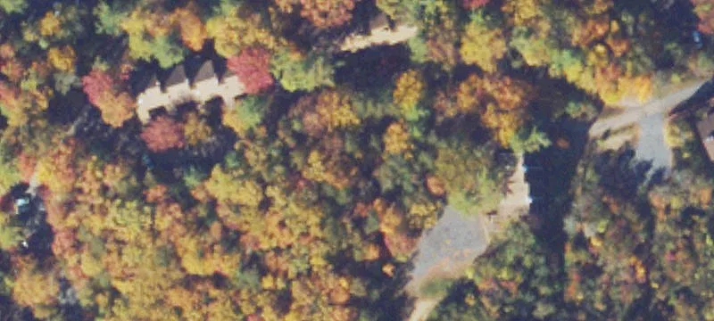 Basye, VA 22810