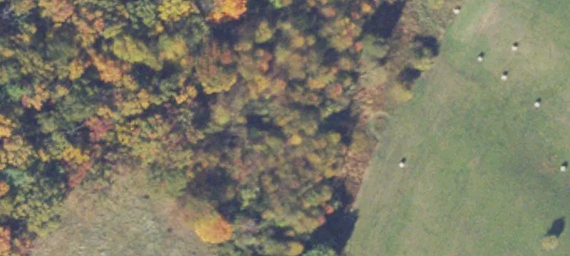 499 Deerhead Rd