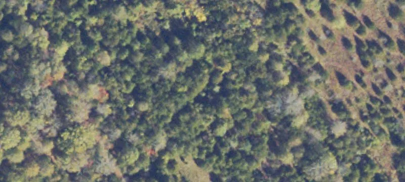 Bealeton, VA 22712