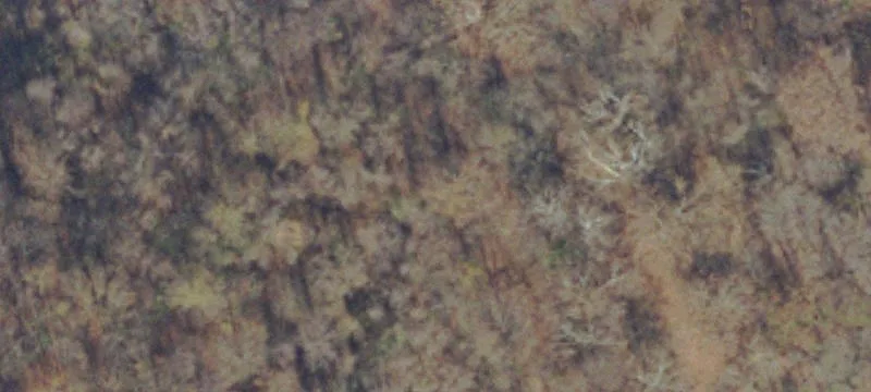 Bristol, VA 24202