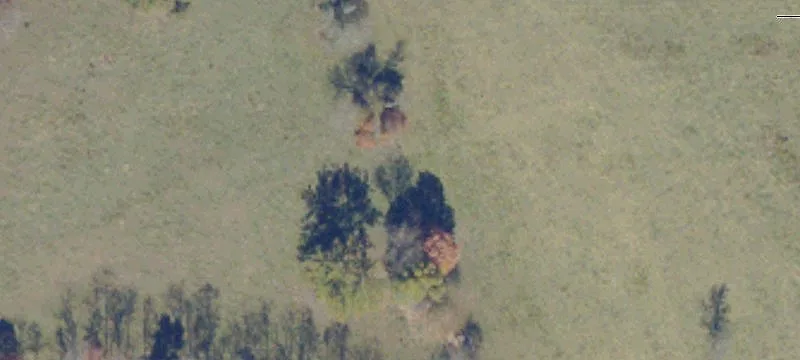 415 Bear Crk Rd