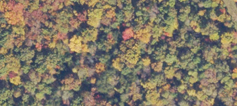 Marshall, VA 20115