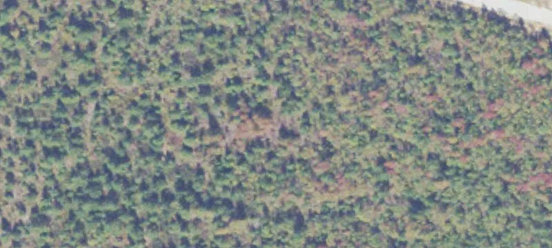 Grn Rd