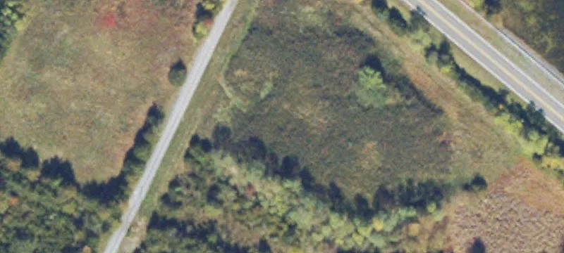 Tasker Rd
