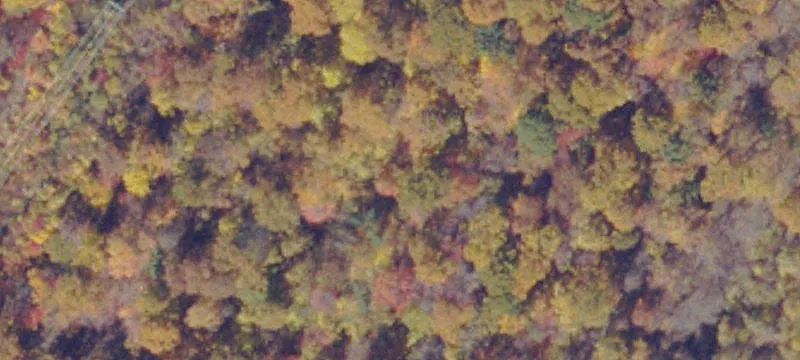 Jewell Ridge, VA 24622