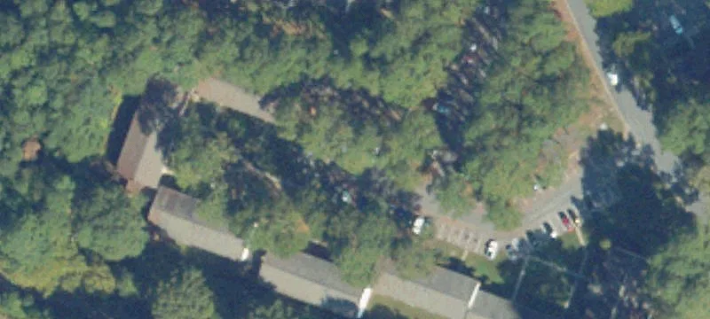 101 Frst Pne Rd