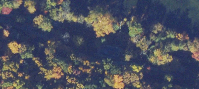 Luray, VA 22835