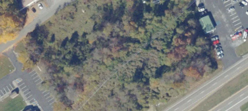 Cedar Bluff, VA 24609