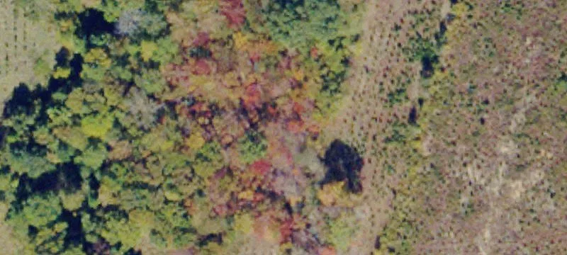 1039 Brookneal Hwy