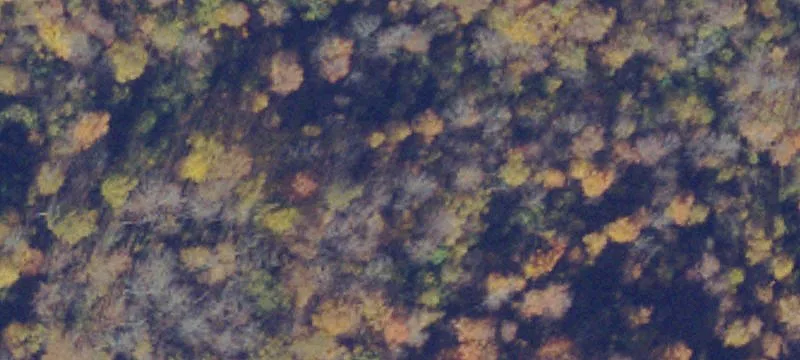 Jewell Ridge, VA 24622
