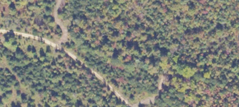 Cosner Dr