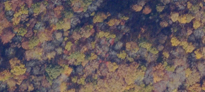 Jewell Ridge, VA 24622