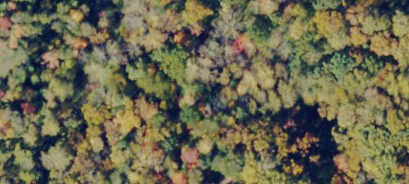 Palmyra, VA 22963