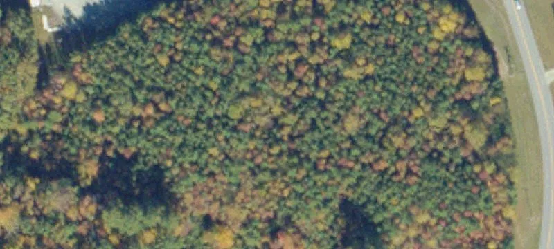 Crab Thicket Rd