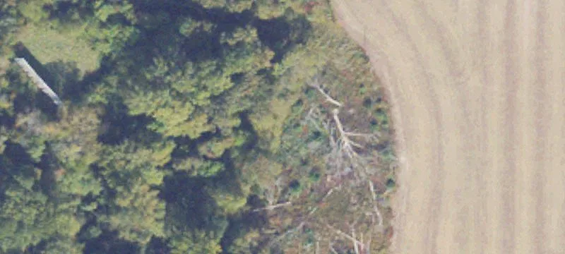 Woodford, VA 22580