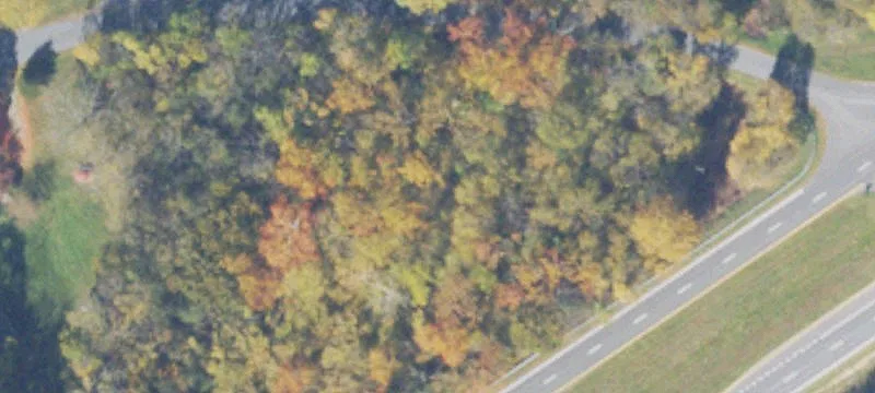 Luray, VA 22835