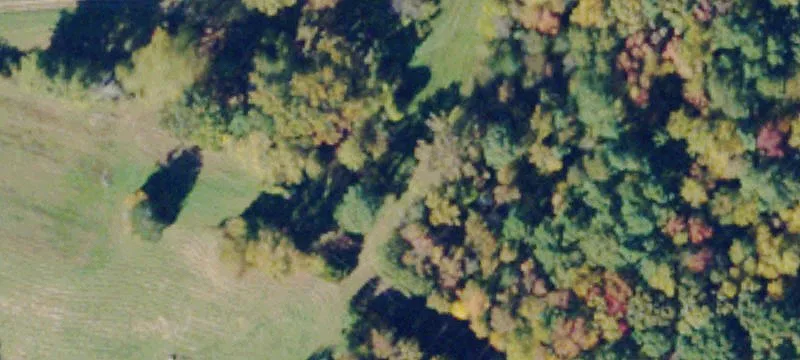 107 Pipjunge Rd