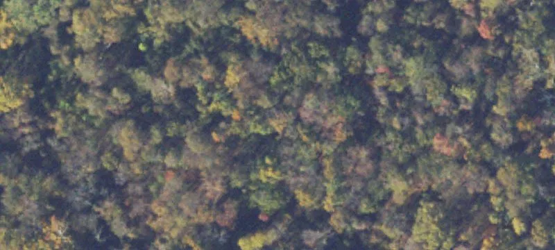 Grottoes, VA 24441