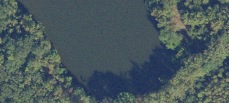 26444 Dogwood Bnd Rd