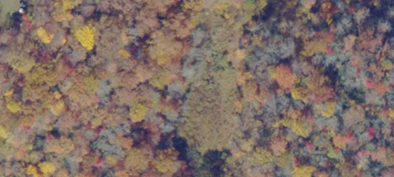 Jewell Ridge, VA 24622