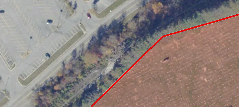 Cedar Bluff, VA 24609