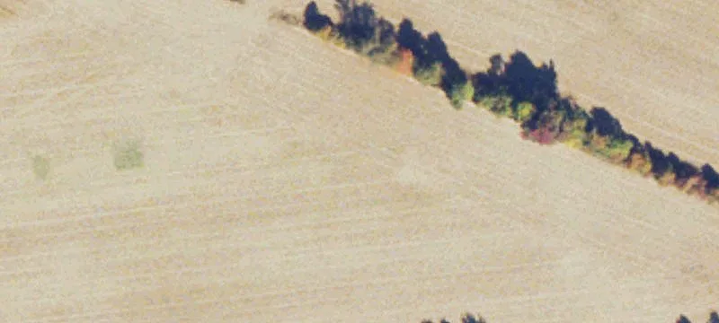 Patton Farm Rd