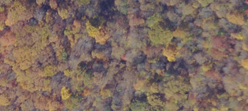 Jewell Ridge, VA 24622