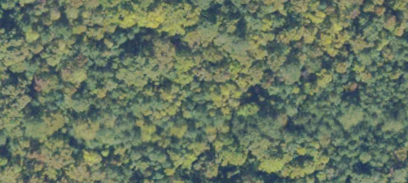 Tuckahoe Crk Parkw