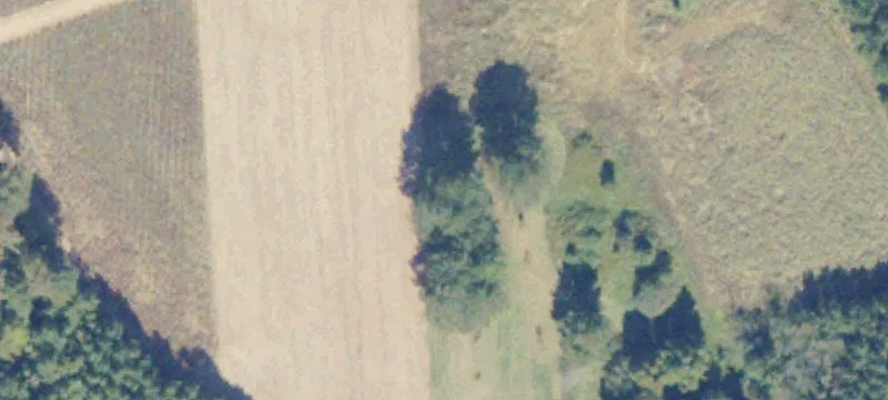 Drewryville, VA 23844