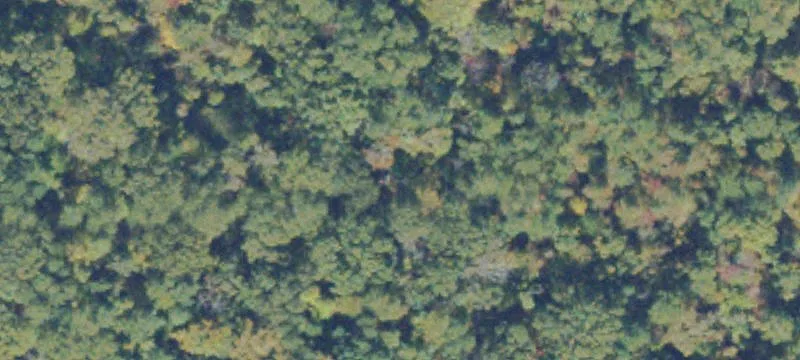 Henrico, VA 23233