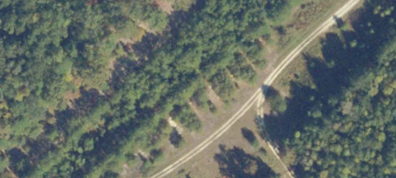 Courtland, VA 23837