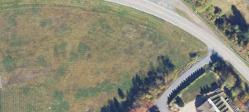 Ladd Rd