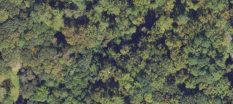 Hickory Frk Rd