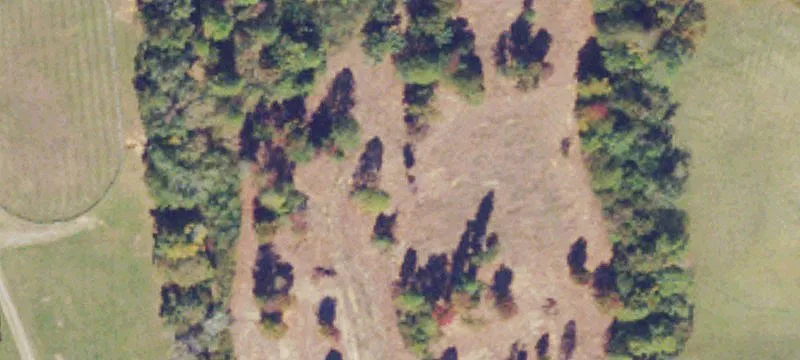 Lynchburg, VA 24502