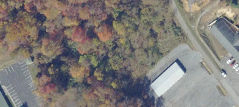 Cedar Bluff, VA 24609